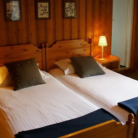 Otel Des Alpes Champéry