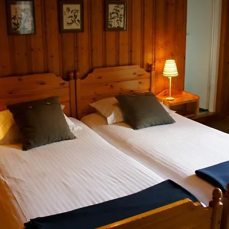 Hotel Des Alpes Champéry
