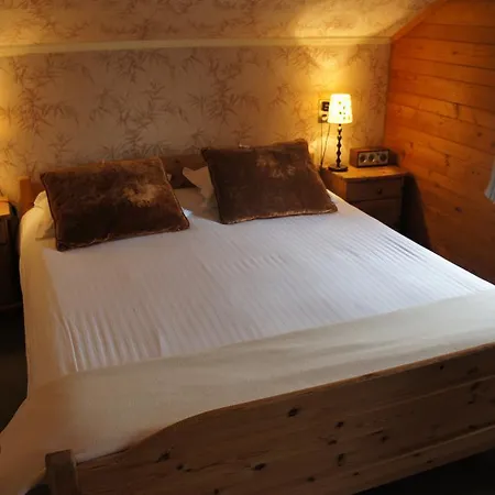Hotel Des Alpes Champéry