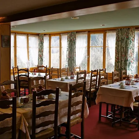 Hotel Des Alpes