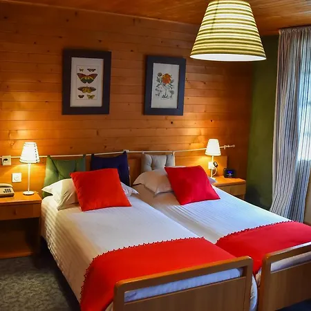 Des Alpes Hotel 2*