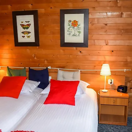 Des Alpes Otel 2*