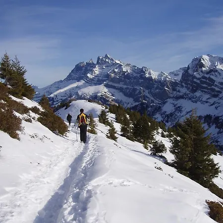 Otel Des Alpes