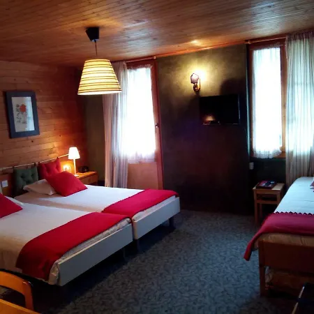 Des Alpes Hotel 2*