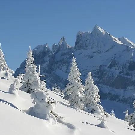 Des Alpes Hotel